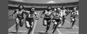 thumbnail of channel Sportmanagement